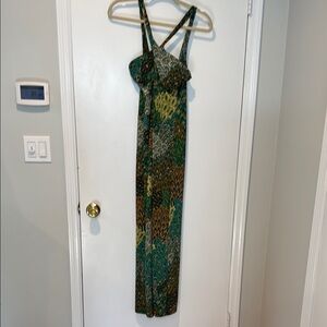 Body Central Vibrant Green and Brown Maxi Dress